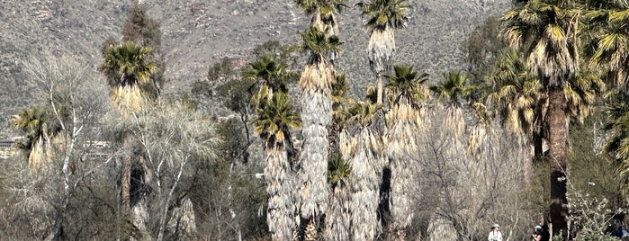 Roy P. Drachman Agua Caliente Regional Park is one of Arizona.