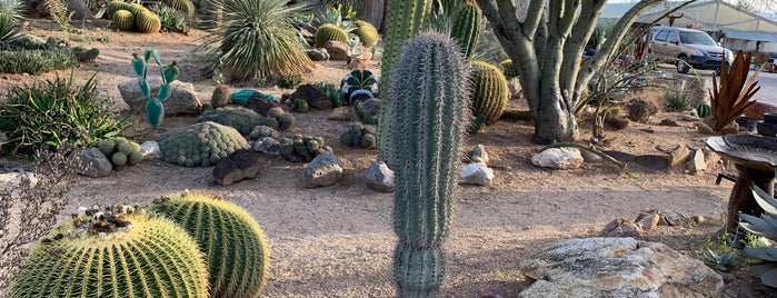 B&B Cactus Farm is one of Gary’s Liked Places.