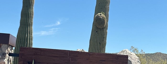 Tanque Verde Ranch is one of Arizona.