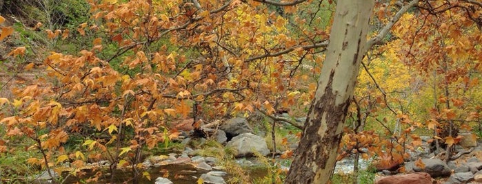 Oak Creek Canyon is one of Gary’s Liked Places.