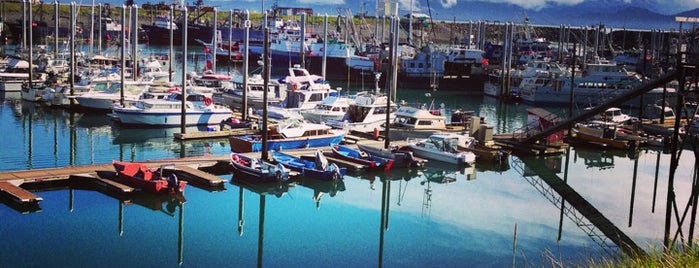 Homer boat harbor is one of Tempat yang Disukai Ishka.