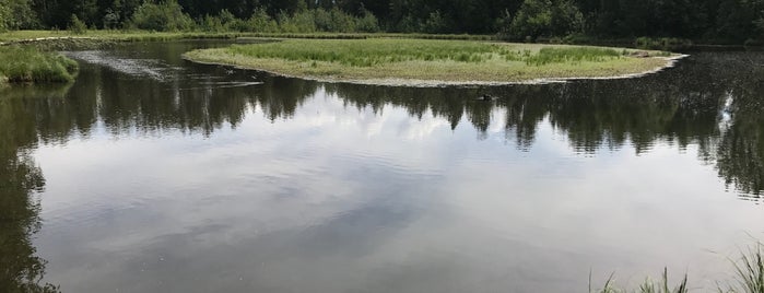 Duck Lake In Chester Creek Bike Trail is one of Favorite Places To Go in Anchorage.