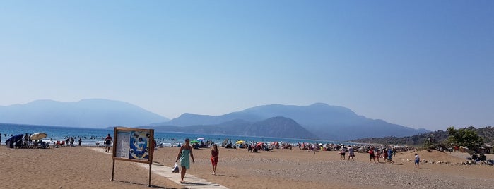 İztuzu Beach is one of Abdullah’s Liked Places.