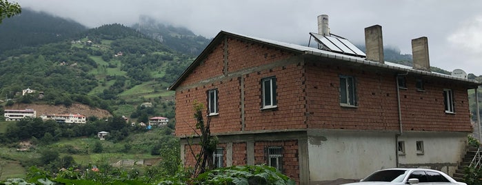 Dikkaya Köyü is one of Karadeniz.