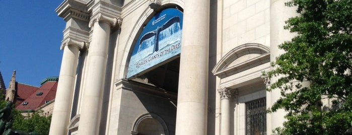 Amerikan Doğa Tarihi Müzesi is one of New york.