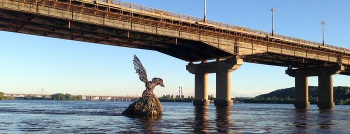 Редкая птица is one of Необычные киевские памятники.