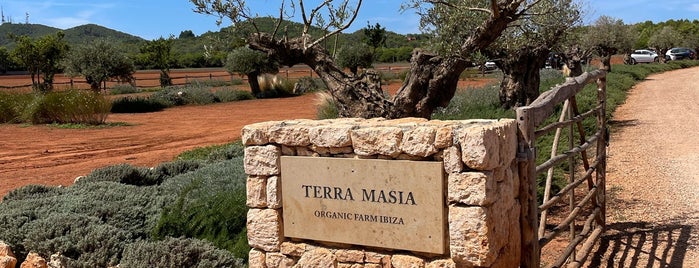 Terra Masia is one of Ibiza.