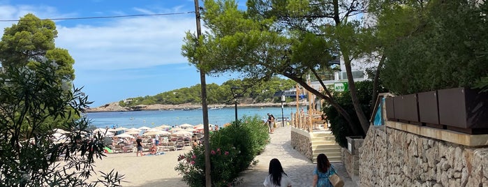 Cala S'Arenal Petit / Portinatx is one of Spiaggia.