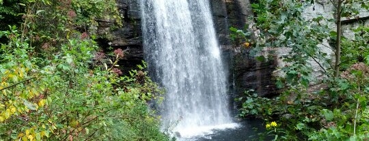 Looking Glass Falls is one of Road Trip!.