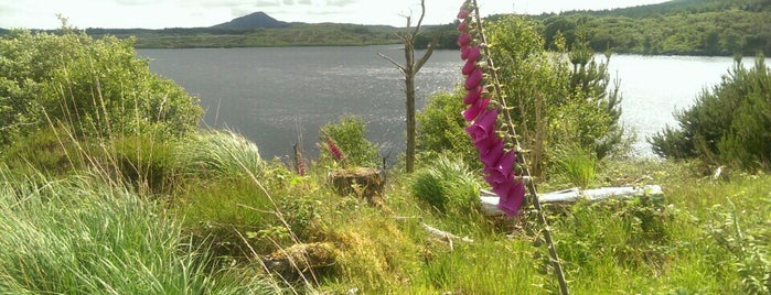 Derryclare Lough is one of Irsko.