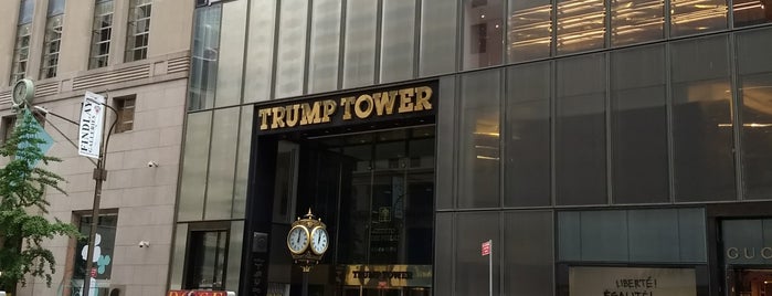 Trump Tower is one of สถานที่ที่บันทึกไว้ของ Lizzie.