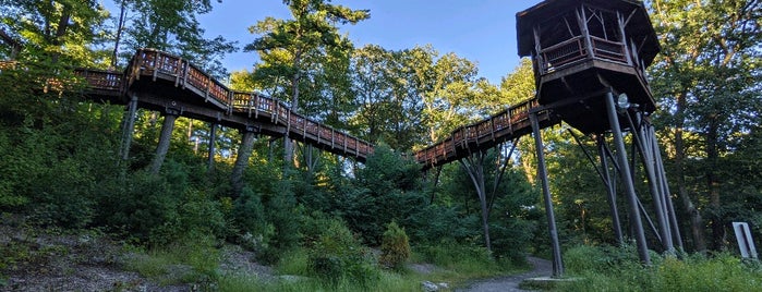 The David Wenzel Treehouse is one of Date Ideas ~ 4.