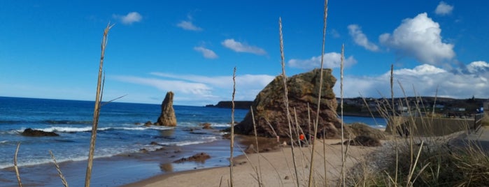 Cullen Beach is one of สถานที่ที่บันทึกไว้ของ Sevgi.