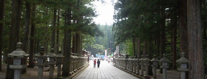 Okunoin Cemetery Path is one of Koya-san.