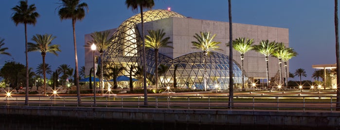 The Dali Museum is one of St. Pete Beach.