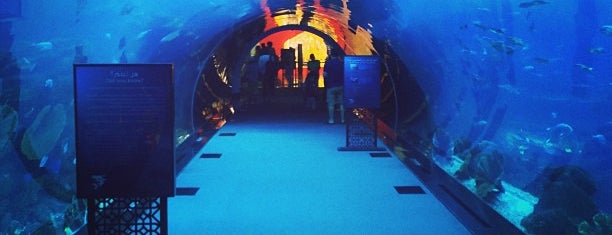 Dubai Aquarium is one of Misc.