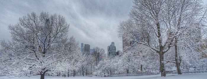 Sheep Meadow is one of Nueva York.