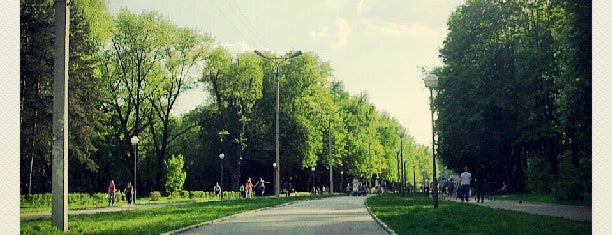 Реадовский парк is one of Tempat yang Disukai Mikhael.