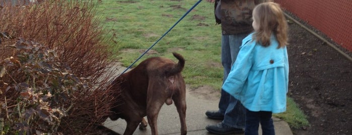 Multnomah County Animal Shelter is one of Posti che sono piaciuti a Lydia.