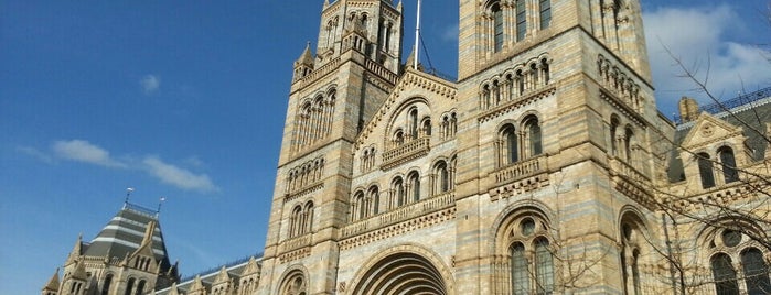 Museo de Historia Natural is one of London.