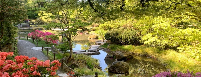 Japanese Gardens is one of Places I love in Seattle.