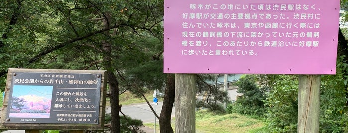 渋民公園 is one of Park in Morioka.