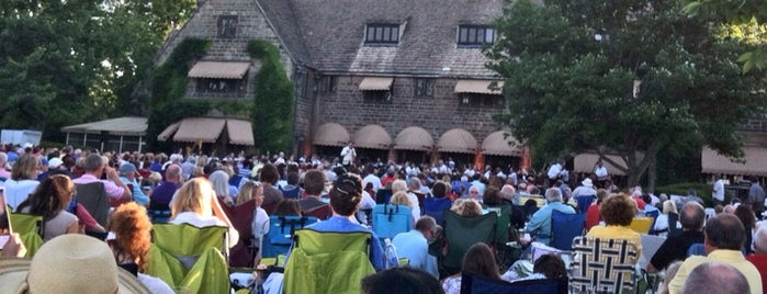 DSO at Ford House is one of Detroit_Sights and Sounds.