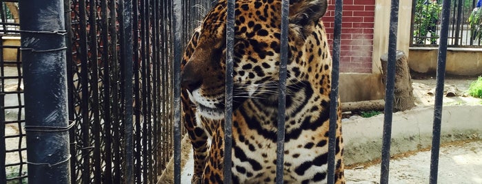Bakı Zooparkı / Baku Zoo is one of Nataliya’s Liked Places.