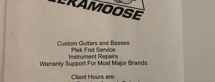 Peekamoose Guitars & Repairs is one of DR Music Dealers - NYC.