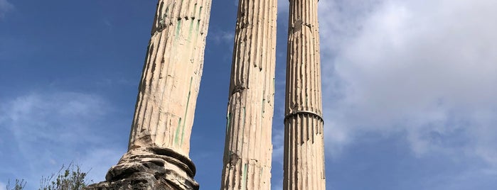 Temple de Castor et Pollux is one of People, Places, and Things.