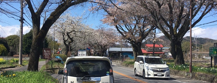 日光街道桜並木 is one of 栃木.