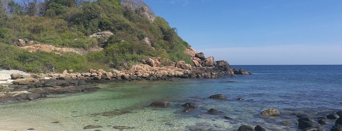 Pigeon Island National Park is one of Sri Lanca.