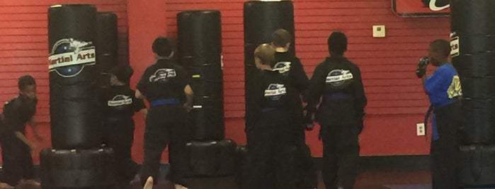 Championship Martial Arts is one of MCDONOUGH ATLANTA GA.