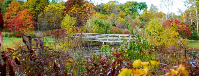 Grant Woods Forest Preserve is one of Schaumburg, IL & the N-NW Suburbs.