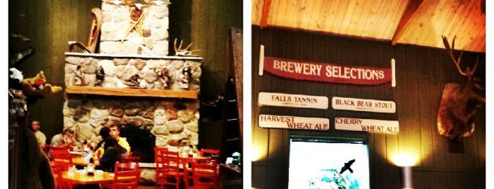 Tahquamenon Falls Brewery and Pub is one of Michigan Breweries.