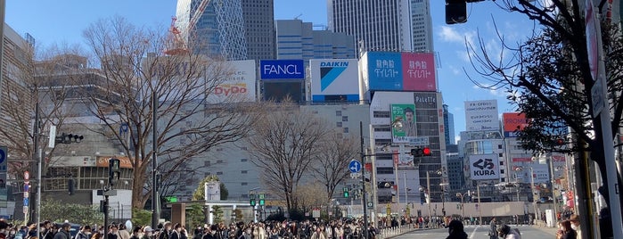 新宿駅東口交差点 is one of 道路(都心).