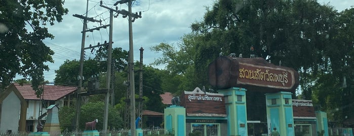 Lopburi Zoo is one of เที่ยวลพบุรี.