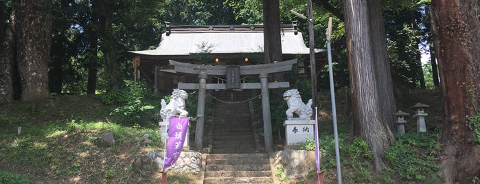 白須若宮八幡神社 is one of 行きたい神社.