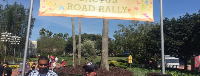 Cactus Road Rally is one of Epcot International Flower & Garden Festival.
