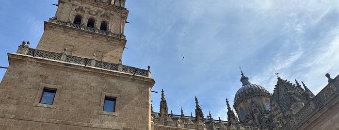 Catedral Vieja - Santa María de la Sede is one of Salamanca.