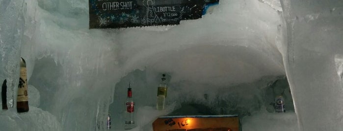 The Ice Bar is one of Tim's Favorite Bars around the Globe.