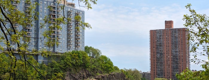Inwood Hill Park is one of Best Parks in New York City.