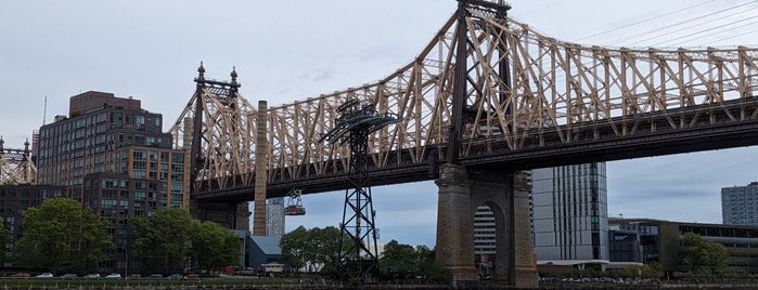 Ed Koch Queensboro Bridge is one of (Leveling) "The Big Apple" Badge in NYC.