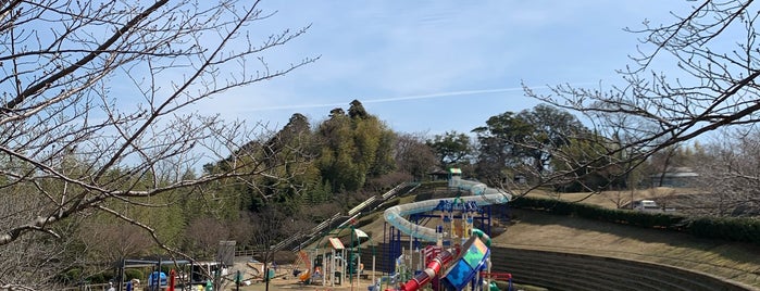 Kameyama Park is one of Kyoto.