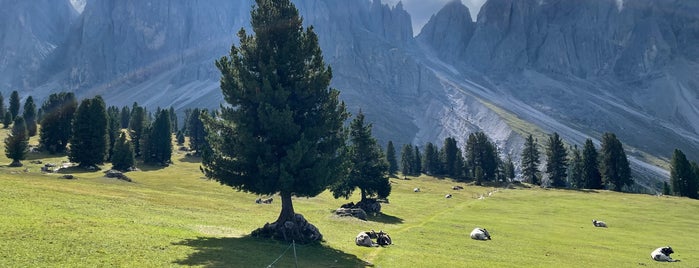 Gschnagenhardt Alm is one of Marcel'in Beğendiği Mekanlar.