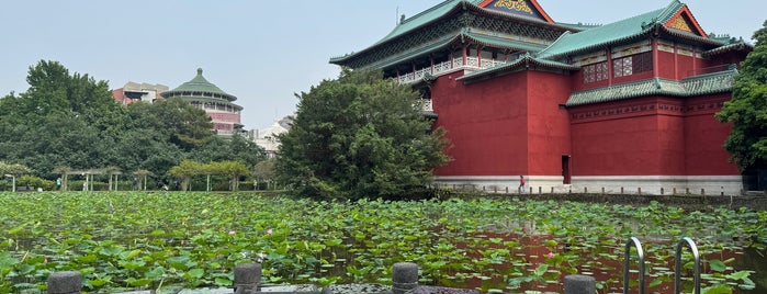 Taipei Botanical Garden is one of Taipei Taiwan trip.