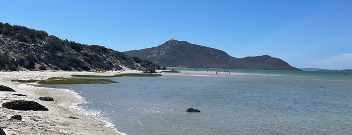 West Coast National Park is one of Africa do Sul.