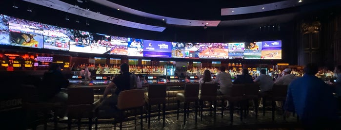 Race and Sports Book is one of Casinos.