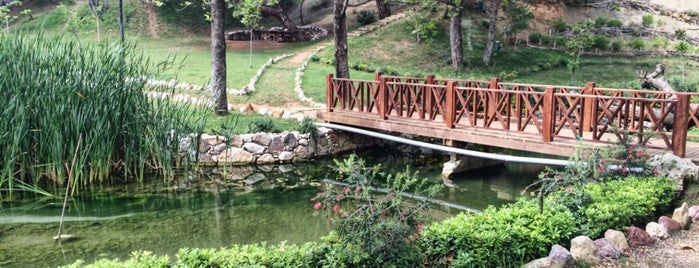 Karapınar doğal park is one of Posti che sono piaciuti a Emine.