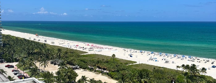 The Setai Miami Beach is one of Jorge's Saved Places.